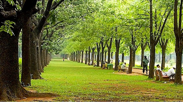 Link Road, Jamshedpur